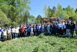 Акция «Сад памяти»